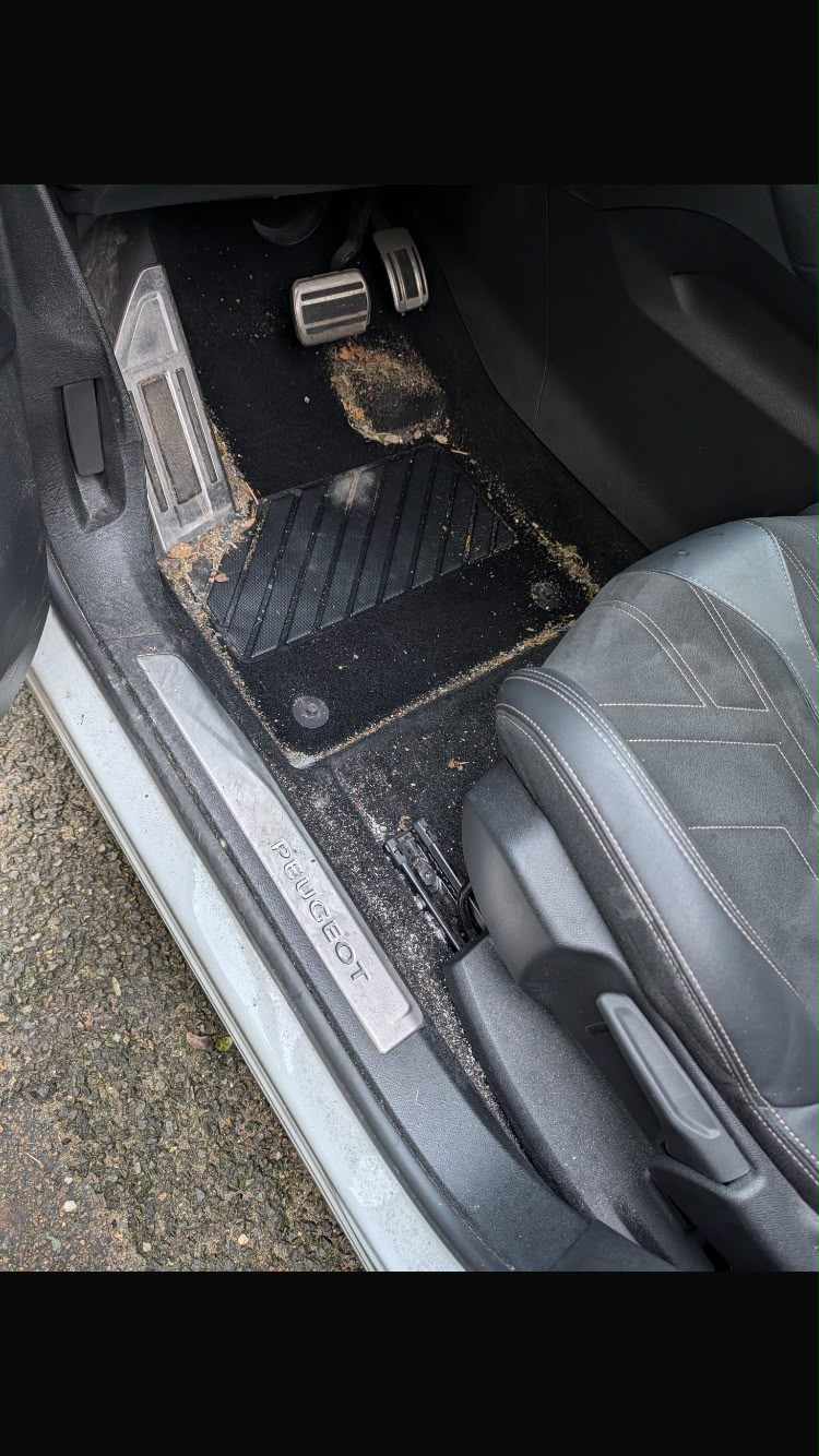Tapis de sol avant nettoyage